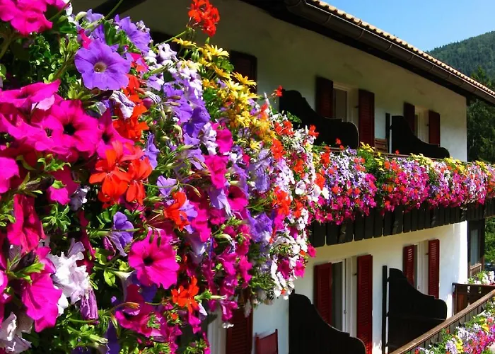 Migliori Hotel a Montagna